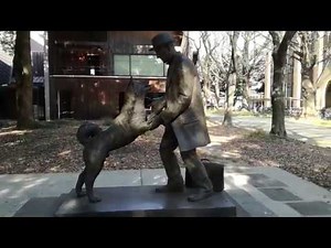 【東京大学構内】上野英三郎博士とハチ公の銅像