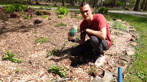 How to Use Time Release Fertilizer - 3 Ways