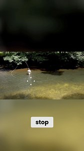 Discover the art of the running mouse, a vital technique in waterborne spay casting. This tutorial explains how to position your cast for optimal performance using sensory clues, ensuring success under challenging conditions. Elevate your casting game with these essential insights! #SpayCasting #FishingTechniques #RunningMouse #FlyFishing #CastingSkills #WaterborneCasting #FishingTips #OutdoorSkills #CastingTechniques #Angling | Sunray