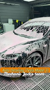 Auto Detailing (Tesla Model 3) #mechanicjack #mechanic #tesla #autodetailing #chemicalwash | Mechanic Jack's team
