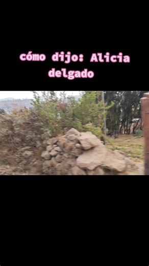 Canciones de recuerdo#aliciadelgado #huayno_peruano