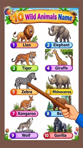 10 wild animals name in english for kids #staylittlechannel