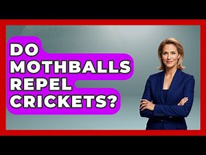 Do Mothballs Repel Crickets? - Insects and Invaders
