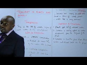 KCSE_Form 2_Biology_Transport in Plants and Animals_Lesson 8