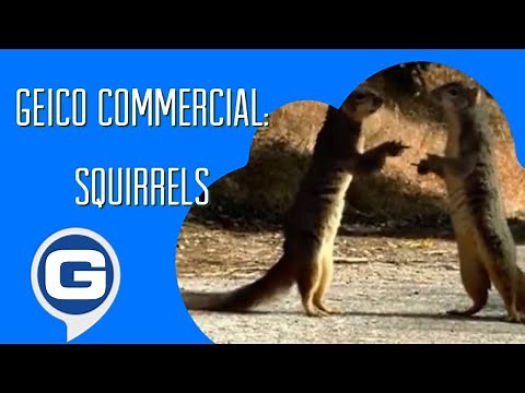 GEICO Commercial - Squirrels 🐿️🐾 (2001)