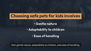 Safe Pets For Kids