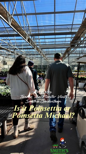 3.9K views · 59 reactions | Everyone always questions why poinsettia...