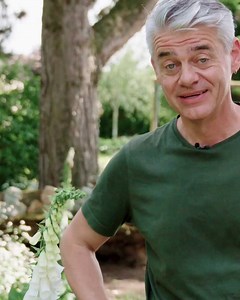 Was denkt ihr, wie giftig ist der Fingerhut wirklich? 🤔 Dieke van Dieken erklärt es euch im Video. Alle Infos findet ihr unter: https://bit.ly/3d2lokp | Mein schöner Garten