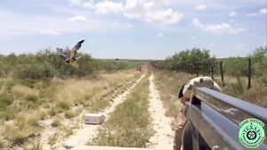 52K views · 418 reactions | After almost a year in rehab, this Red...