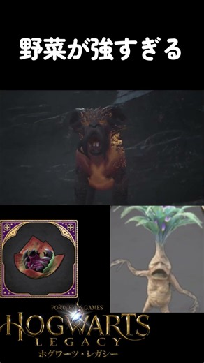 [The Best Combo] Magical Plants Are Too Overpowered [Hogwarts Legacy]