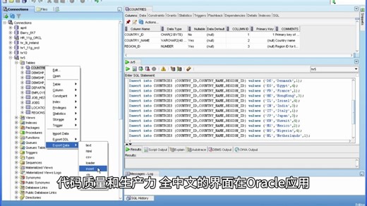 PL/SQL Developer电脑版下载-PLSQL Developer13官方版免费下载