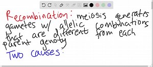 SOLVED:What are the two types of recombination? What are the details of each type? What components are needed for each type?