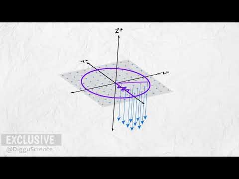 A Metal Rod Rotating in a Magnetic Field
