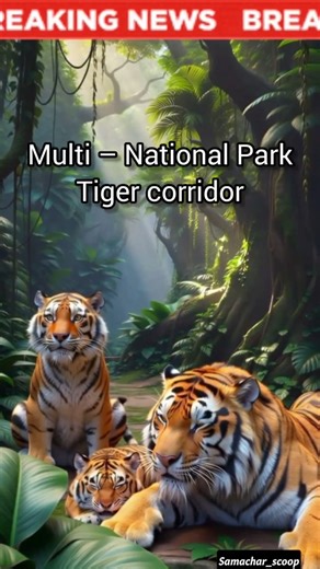 Delhi's New Rule: NO PUC = NO Petrol! ⛽️ + MP's Huge Tiger Corridor News! 🐅 #news #viral #shorts