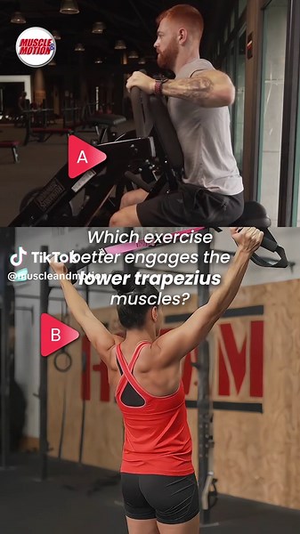 Understanding Lower Trapezius Muscle Engagement in Exercises