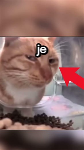 #ai #sztucznainteligencja #technologia #viral #fyp #dlaciebie