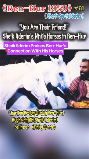 The Horses Chose Him! 🐎 #BenHur1959 #CharltonHeston #HughGriffith #SheikIlderim #ArabianHorses
