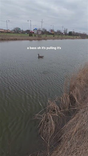 monster crappie heartbreak #fishing #crappie