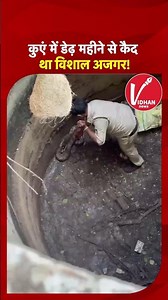 Wildlife News: Python was trapped in a well for a month and a half, here is how a Police Constabl...