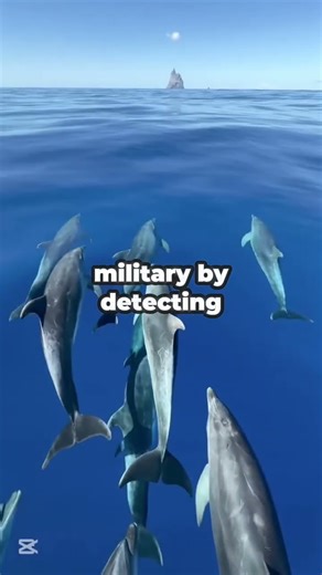 5 Animals That Still Help Humans Today 🐾💡 #facts #viral