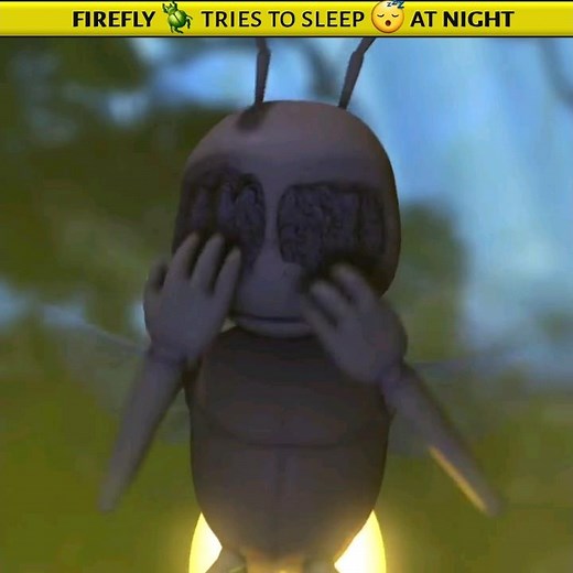 firefly 🪲 tries to sleep 😴 at night #shorts