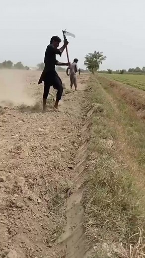 41K views · 438 reactions | #funnyvideos #sigma #creative #short | Funny box 000 | Facebook