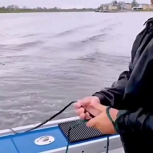 34K views · 180 reactions | Amazing ! Fishing Shirt: https://amzn.to/3f4bFdP | Animal Channel | Facebook