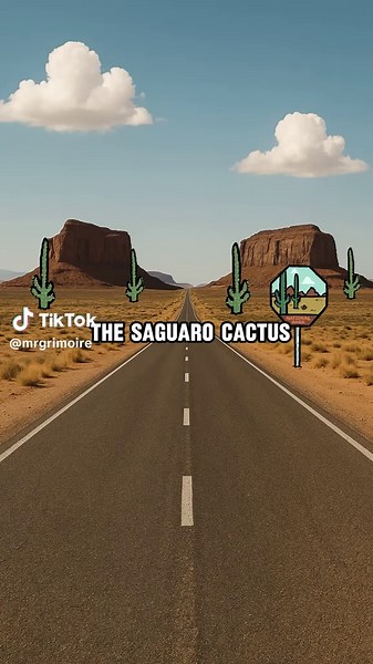 Discover the Heaviest Cactus: The Majestic Saguaro