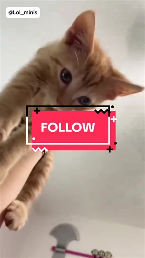 lol_minis on TikTok