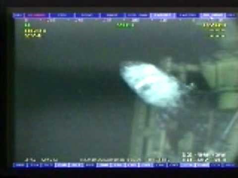 Giant Shark Gulf of Mexico Oil Rig caught on rigs cameras