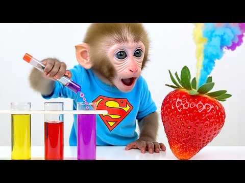 Monkey Baby Bon Bon and the Duckling: Facing the Fiery Disaster in the Laboratory