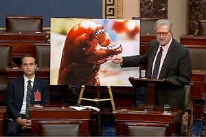Republican senator suggests eating radioactive shrimp will turn you into an alien