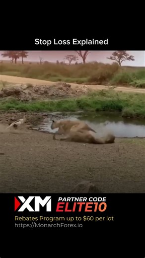 Stop Loss Explained #trading #xmglobal #forexbroker