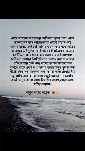 Unfreeze My TikTok Account: Tips and Tricks