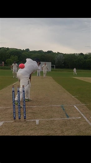 Top of Off Stump: A Stunning Cricket Moment