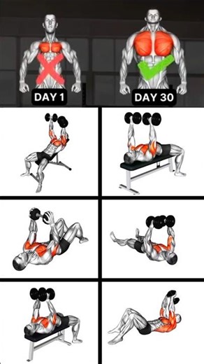 Chest Workout | Chest Workout At Home | Chest Workout With Dumbbells | Chest Workout At Gym #shorts