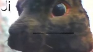 Ｕｎｔｏｕｃｈａｂｌｅ