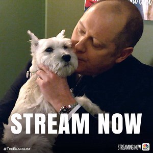 35K views · 2.4K reactions | We're begging for answers. Stream the latest episode now: bit.ly/WatchTheBL | The Blacklist | Facebook