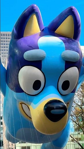 Bluey Playing Keepy Uppy in the Cutest Way!