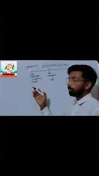 Corpuscle kya hote hai? | Blood Corpuscles Explained in Hindi | RBC WBC Platelets