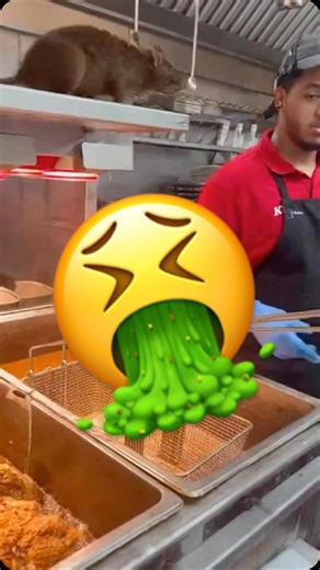 Kentucky Fried Rat #fried #friedfood #rat #memes | Cruise Bachelor