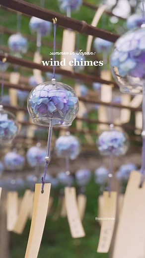 Experience the Beauty of Wind Chimes at Shojuin Temple in Kyoto
