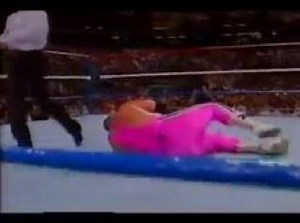 WWF SummerSlam 1989