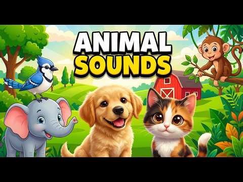 🦁 Amazing Animal Sounds Journey! 3D Pixar Style