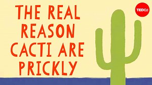 Discover the incredible adaptations that allow cacti to not only survive, but thrive, in some of the harshest climates on Earth: | TED-Ed