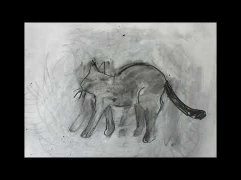 Cat Animation by Ann Marie Whitton