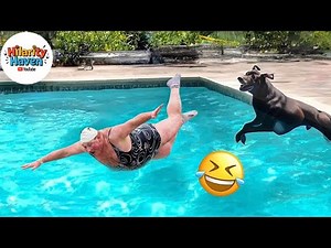 Hilarious People's Life 😂 #13 - Try not to Laugh | Instant Regret Fails Compilation 2024