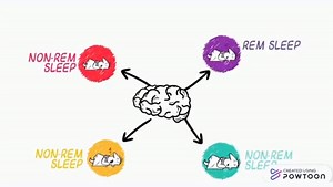 Why Do Dreams Feel So Real?