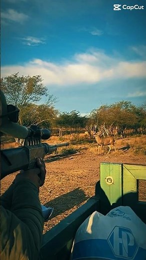 Darting a Deer for Treatment by Veterinarian | Pneu-Dart