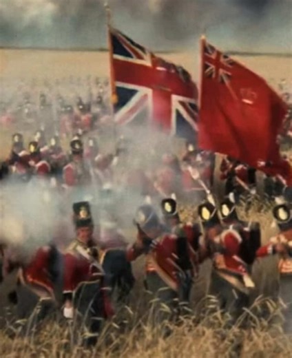 The Working Class… #napoleon #wellington #england #🇬🇧 #british | napoleon